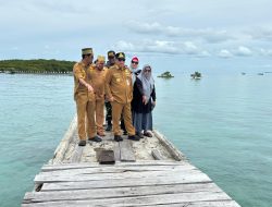 Respon Cepat Gubernur  Tinjau Dermaga Rusak Pulau Kelapan, Kadus Bunga Berharap Ada Perbaikan 