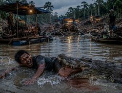 Tragedi Radit Belum Usai, Dugaan Aktivitas Tambang di Habitat Buaya Kembali Muncul